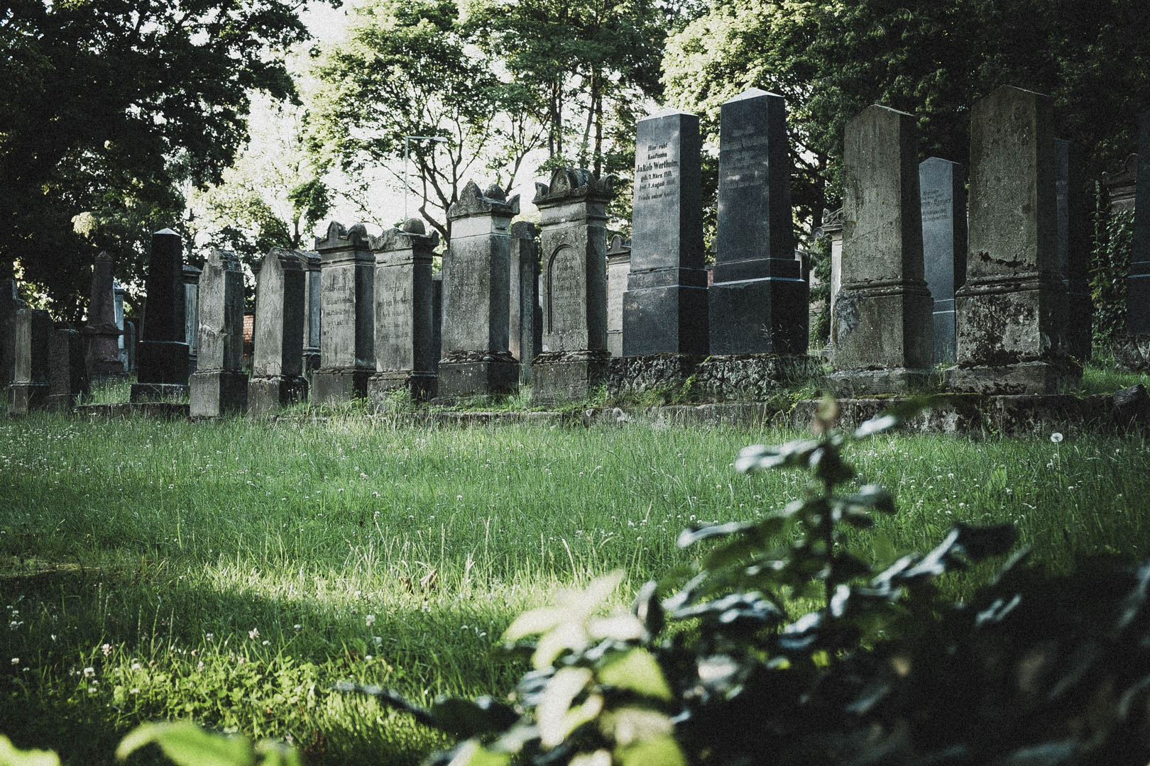Jüdischer Friedhof Kassel-Bettenhausen